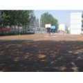 聊城市第二實(shí)驗(yàn)小學(xué)（聊城實(shí)驗(yàn)二?。?></a></dt>
      <dd>
      <p><a href=